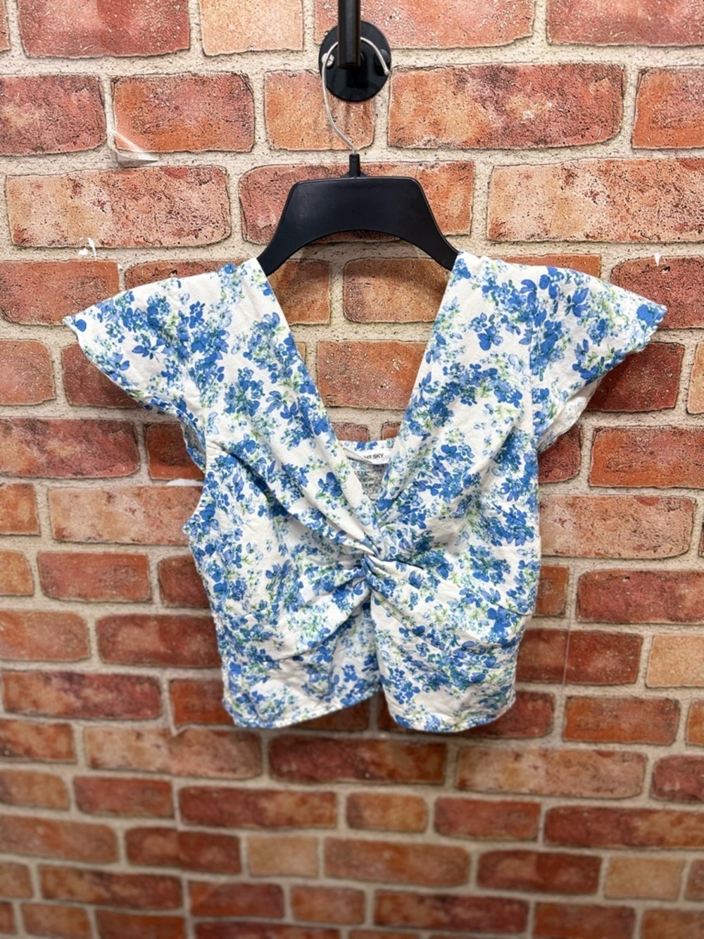 Floral french provincial coquette cottage Crop Top w/flutter sleeve smocked back